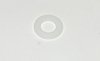 White plastic ring small for outer door handle Ami 6